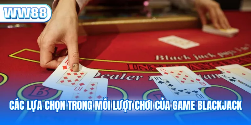 Các lựa chọn trong mỗi lượt chơi của game blackjack