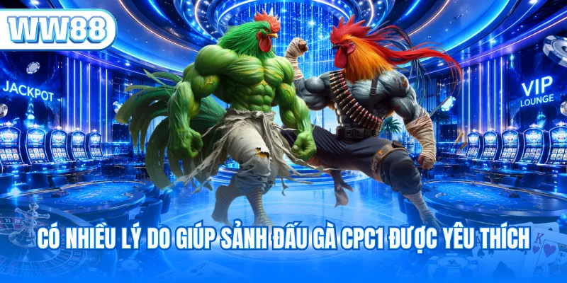 Có nhiều lý do giúp sảnh đấu gà CPC1 được yêu thích
