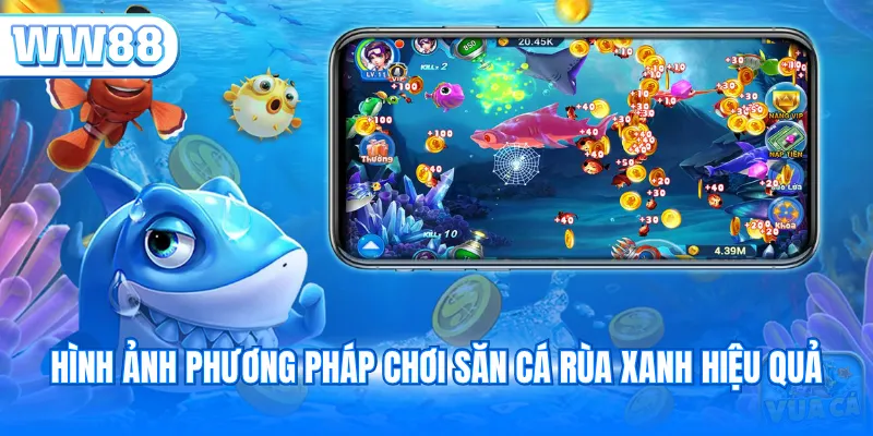 Hình ảnh phương pháp chơi săn cá Rùa Xanh hiệu quả
