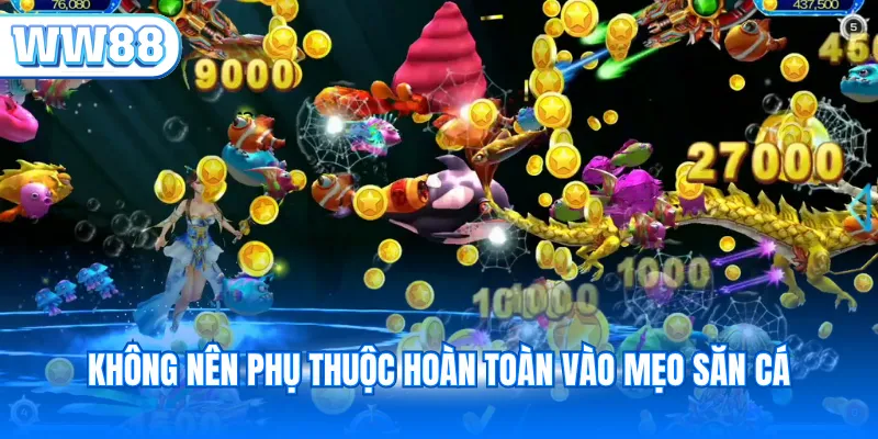 Không nên phụ thuộc hoàn toàn vào mẹo săn cá
