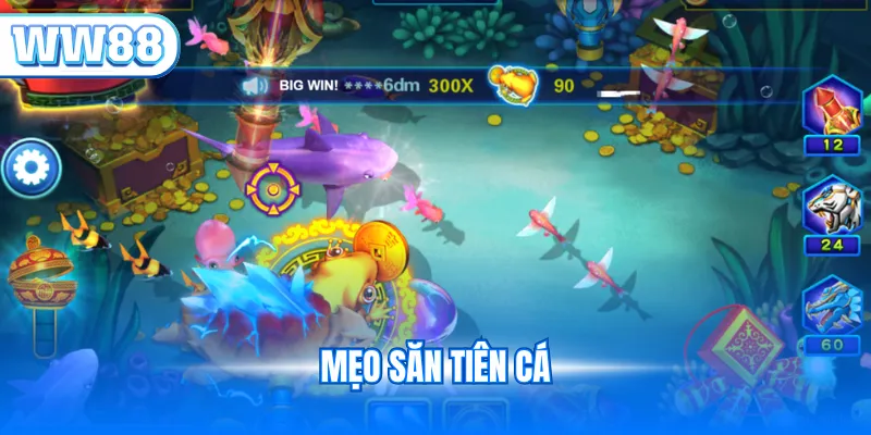 Mẹo săn tiên cá
