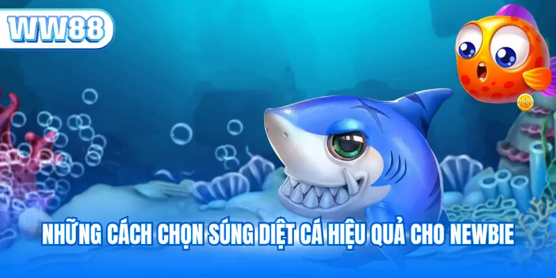 Những cách chọn súng diệt cá hiệu quả cho newbie